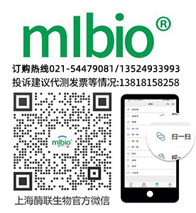 小鼠抗ACTB單克隆抗體主圖